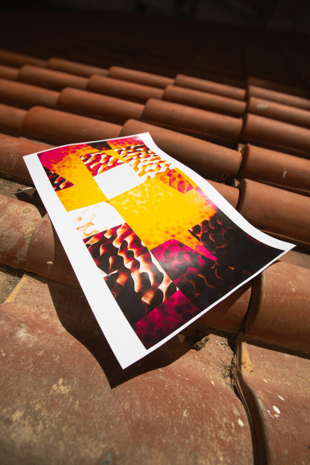 The print photographed on terracotta roof tiles